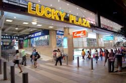 Lucky Plaza (D9), Shop House #539359281
